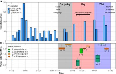 Two Co-occurring Liana Species Strongly Differ in Their Hydraulic Traits in a Water-Limited Neotropical Forest